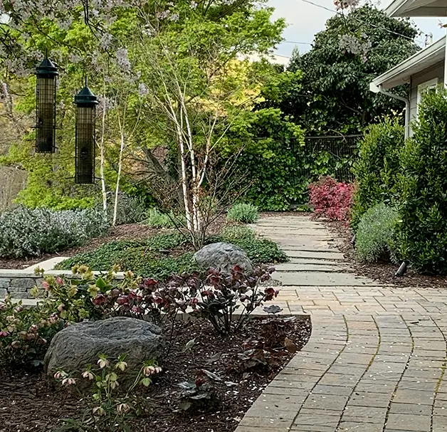 Avian Heaven 4