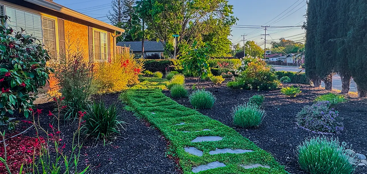 Cornerstone Blooms 2 Windsor Garden 2